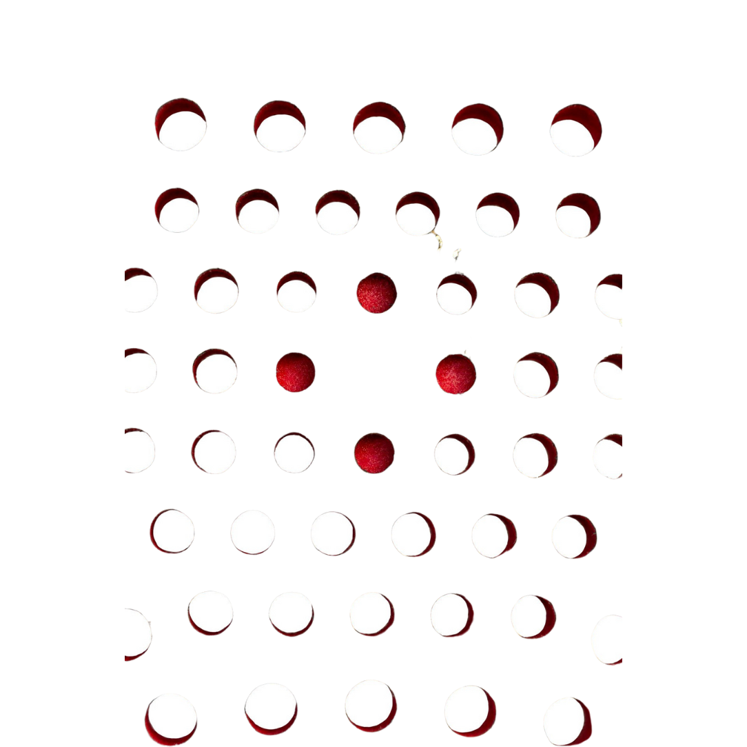 Cork Padel Extreme Red